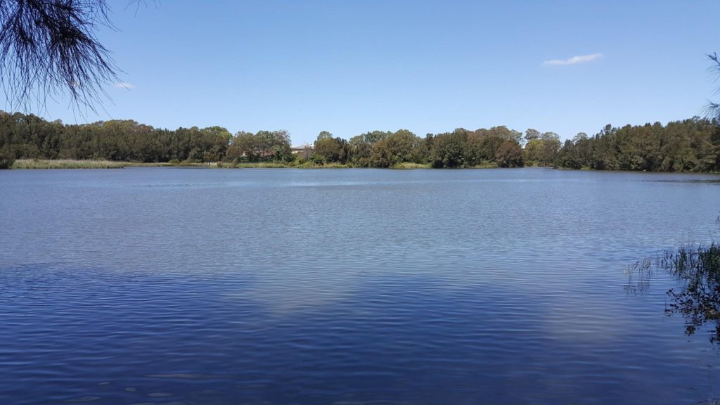 The Terrifying Side Of Nevada The Haunted Lake My Haunted Life Too